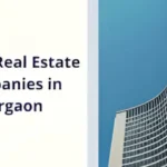 How to Choose from the Top Real Estate Companies for Your Dream Home