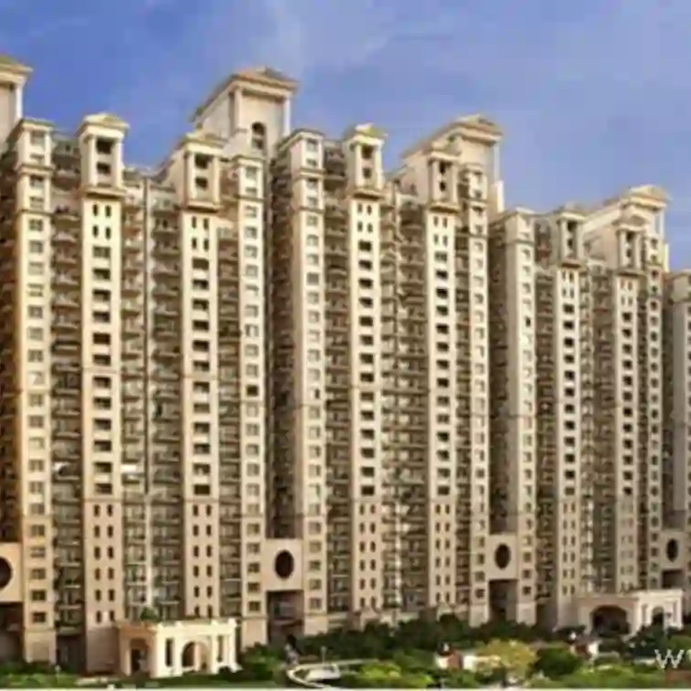 DLF Hamilton court gurgaon