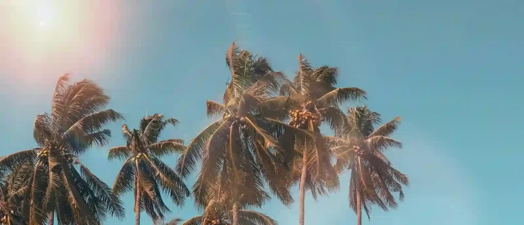 Lifestyle Migration Coastal living