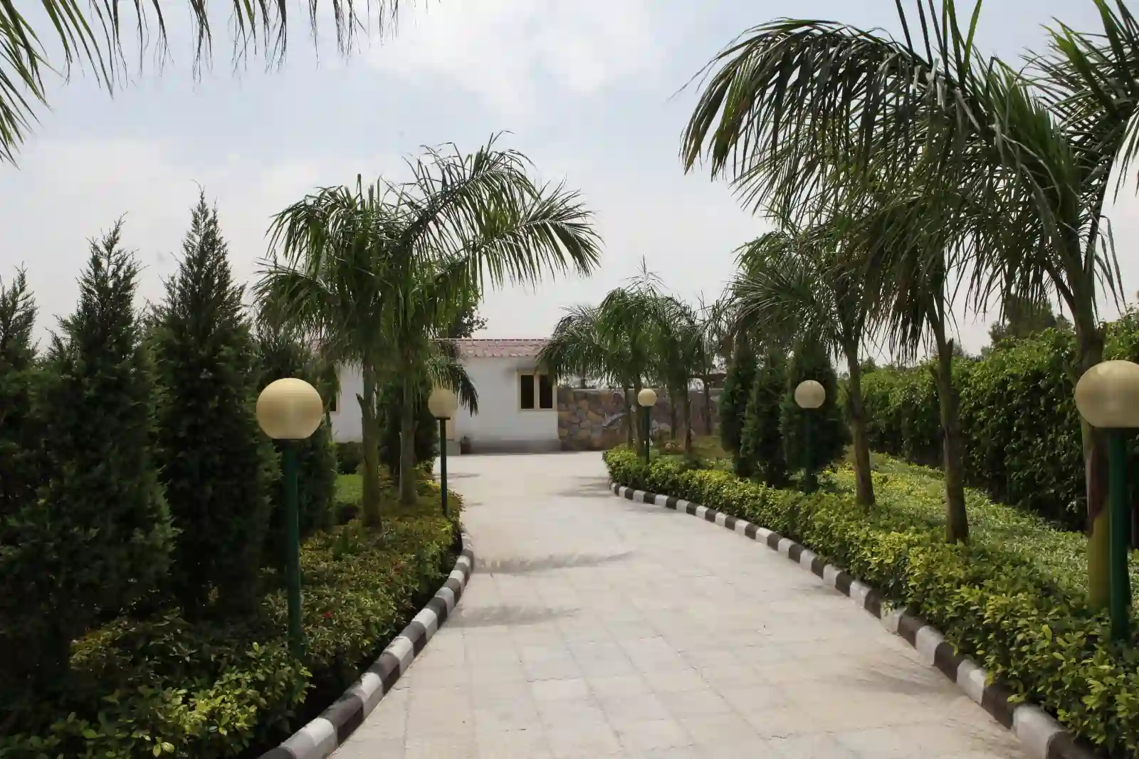 aranyam Village Internal road