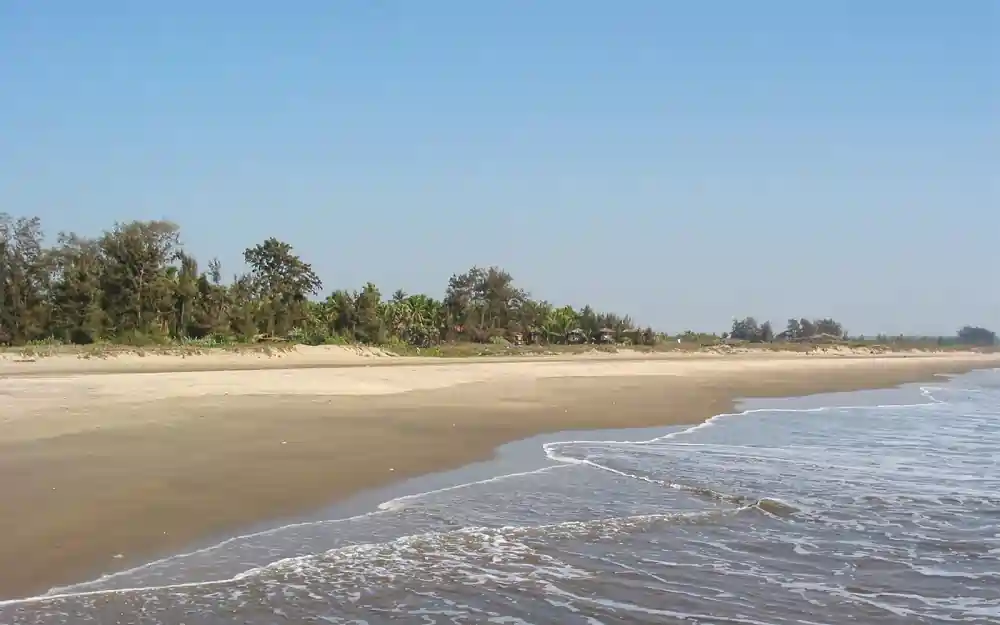 Morjim Beach in North Goa