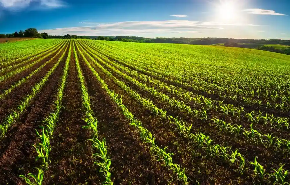 Can a non-farmer buy agricultural land in Goa: The 2023 Restriction on Transfer Act Decoded