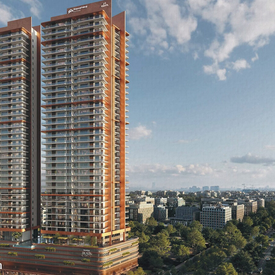 shapoorji pallonji dualis