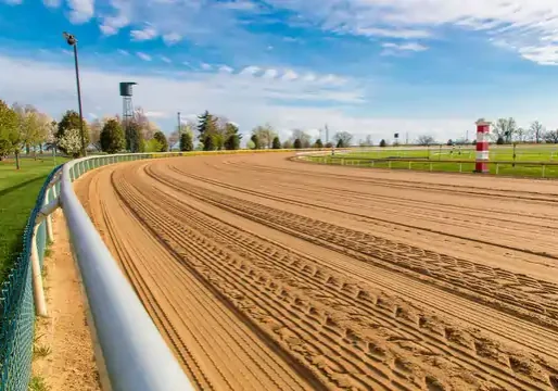 Horse riding tracks