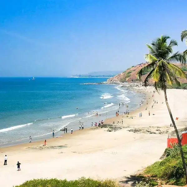Calangute beach Goa aerial view