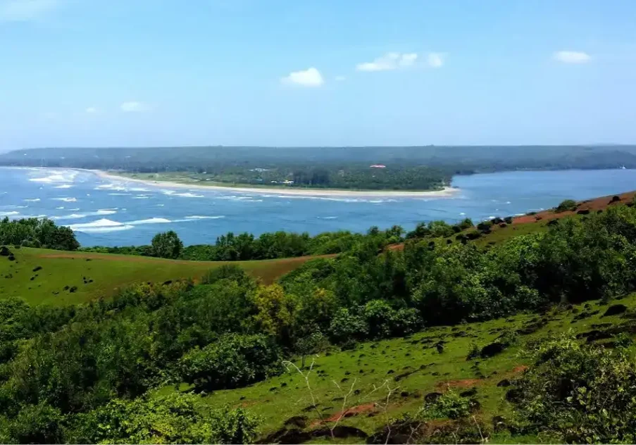 Chapora river view