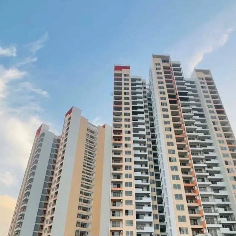 Shapoorji Pallonji Dualis