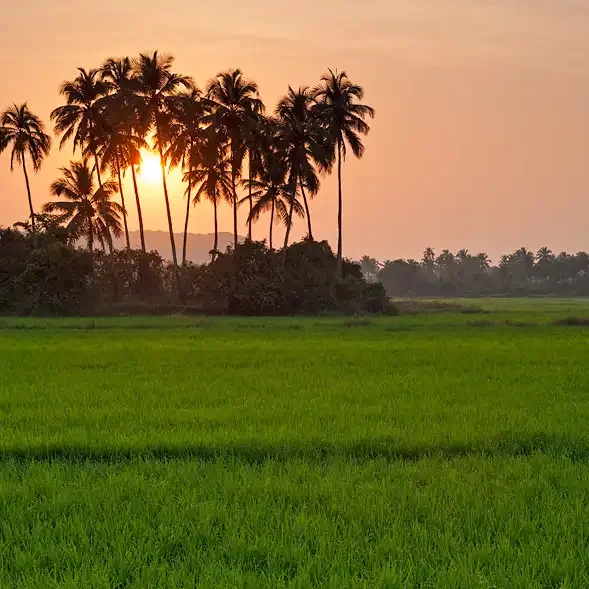 Landscape view siolim Goa