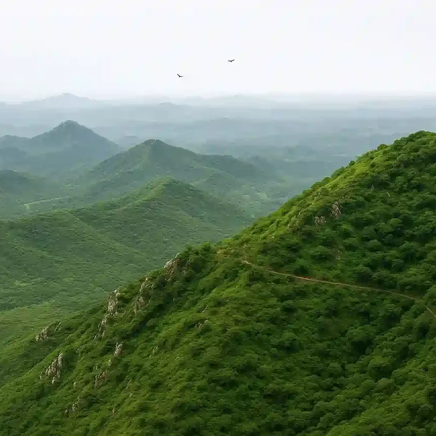 Landscaped green gardens at Rasa Estate Alwar